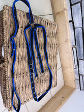 Load image into Gallery viewer, S/H Libbys Soft Web Flash Bridle &amp; Martingale - Blue/Black - Cob