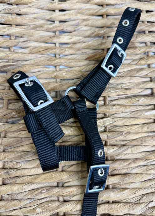 Mini Shetland Foal Headcollar - Tiny - Black/Navy Silver Fittings