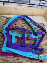 Load image into Gallery viewer, Soft Webbing Standard Foal Slip/Headcollar - Purple/Pink/Ocean