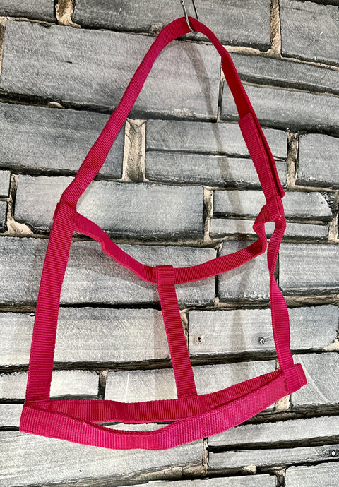 Easy Find Fieldsafe Quick Release Headcollar/Slip