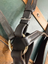 Load image into Gallery viewer, Sabre Hunting Breastplate &amp; Martingale -Very Dark Brown- Full Size
