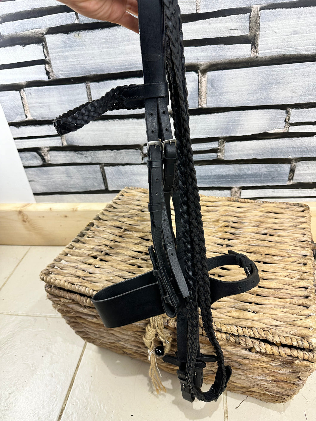 S/H Extra Wide 2” Noseband, Plaited Brow & Reins Bridle-Cob
