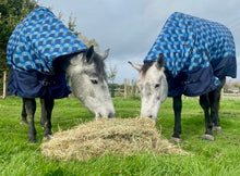Load image into Gallery viewer, 100g Light/Medium Weight Combo Turnout Rug – Blue Swirl - Waterproof Horse Rug