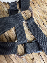 Load image into Gallery viewer, S/H Shires Fur Lined Fieldsafe Grazing Muzzle - XF