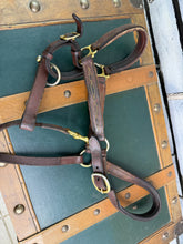 Load image into Gallery viewer, Brown/Tan Leather Padded Headcollar - Full Size -  Brass Clip