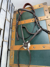 Load image into Gallery viewer, Devoucoux Grackle Bridle -Brown- Large/Full - Padded Anatomic Headpiece