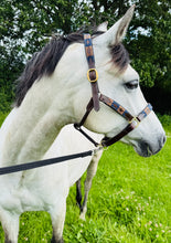 Load image into Gallery viewer, Leather Padded Polo Headcollar -Burgundy/White/Navy/Brown -Embroidered Design- Pony/Cob/Full - Black/Brown