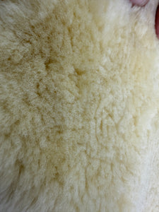 S/H Lemieux Lambskin Wool Stud Girth Cover - Natural - Large