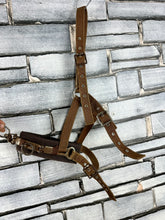 Load image into Gallery viewer, S/H Cottage Craft Web Lunge Cavesson - Full
