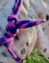 Load image into Gallery viewer, Soft Rope Control Halter/Headcollar - One Size - Pink/Purple &amp; Blue