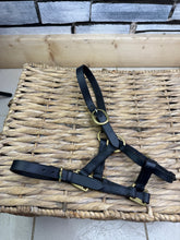 Load image into Gallery viewer, S/H Black &amp; Brass Leather Headcollar - Medium Foal