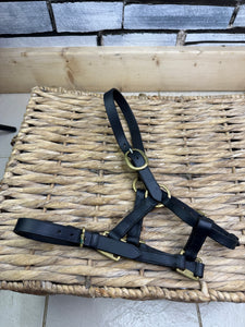S/H Black & Brass Leather Headcollar - Medium Foal
