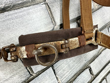 Load image into Gallery viewer, S/H Cottage Craft Web Lunge Cavesson - Full