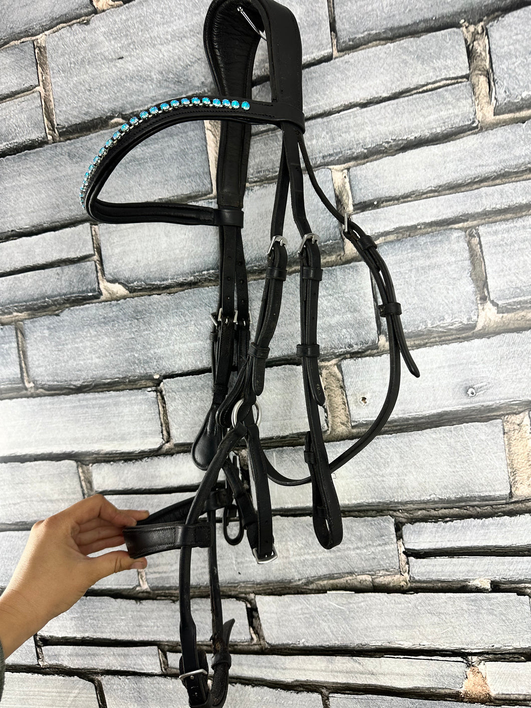 S/H Full Size Colliegate Anatomic Padded Bridle - Black