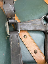 Load image into Gallery viewer, XXF/Draft English Leather Headcollar - Brown - Heavy Duty - Adjustable