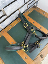 Load image into Gallery viewer, Pony English Leather Padded Headcollar - Black/Green/Brass - Clip Throat