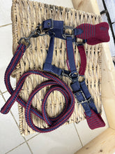 Load image into Gallery viewer, S/H Lemieux Burgundy/Navy Headcollar/Leadrope Set - Pony