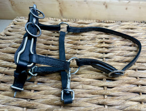 Miniature Horse/Mini Shetland Leather Lunge Cavesson - Black