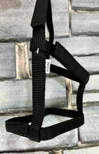 Foal Sized Fieldsafe Quick Release Headcollar/Slip