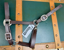 Load image into Gallery viewer, Plain Leather Clip Headcollar -Mini-Foal-Shetland/Pony/Cob/Full/XF-XXF/Draft - Travel/Shows/Turnout