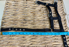 Load image into Gallery viewer, Mini Shetland Foal Headcollar - Tiny - Black/Navy Silver Fittings