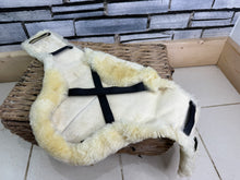 Load image into Gallery viewer, S/H Lemieux Lambskin Wool Stud Girth Cover - Natural - Large