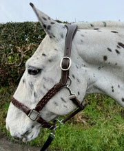 Load image into Gallery viewer, Comfort Leather Headcollar -Serenity Poll Relief- Plaited Nose -S/Pony/Cob/F