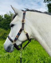 Load image into Gallery viewer, Leather Padded Polo Headcollar -Burgundy/White/Navy/Brown -Embroidered Design- Pony/Cob/Full - Black/Brown