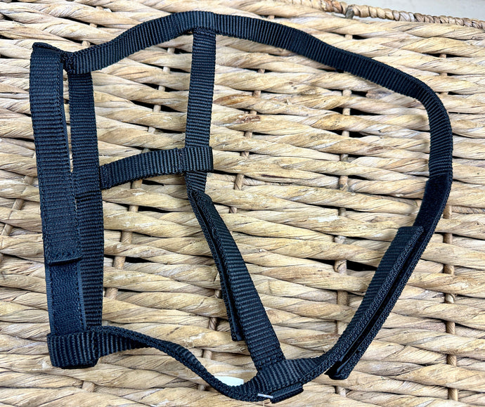 Foal Sized Fieldsafe Quick Release Headcollar/Slip