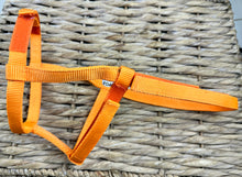 Load image into Gallery viewer, Foal Sized Fieldsafe Quick Release Headcollar/Slip