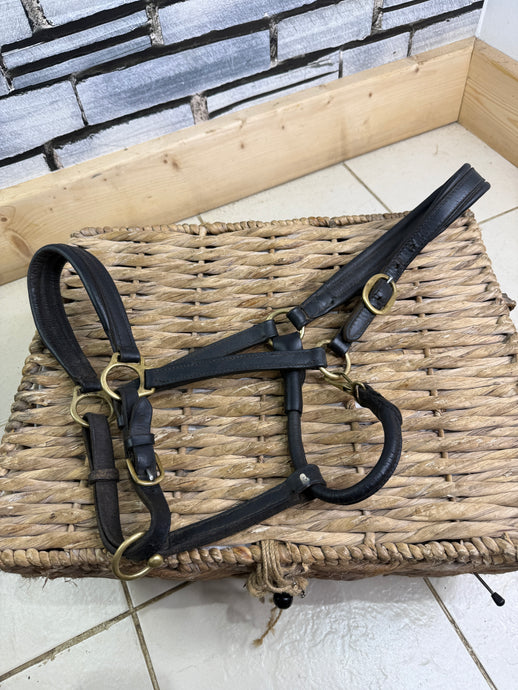 S/H Black Padded Leather Headcollar - Cob