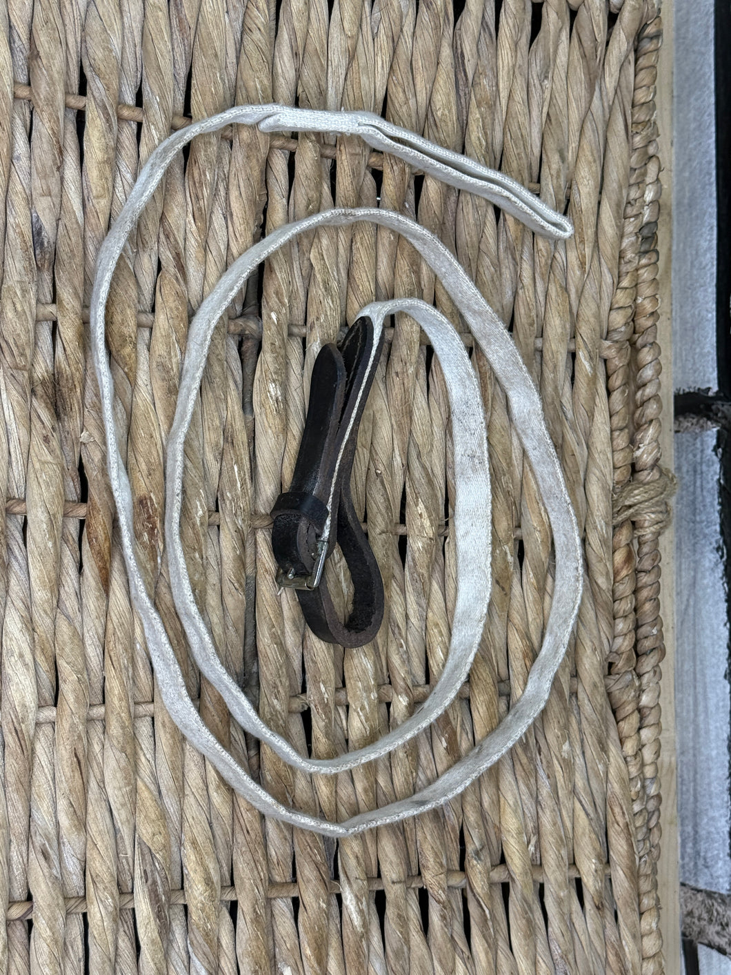 S/H In-hand Showing Lead - White Web