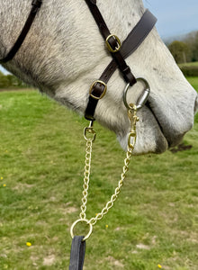Brass Newmarket Coupling Chain - In-hand Show Leading