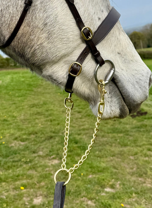 Brass Newmarket Coupling Chain - In-hand Show Leading