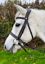 Load image into Gallery viewer, Traditional Showing Hunter Snaffle Bridle with Serenity Comfort Poll Relief Head - Shetland/Native/Full/XF