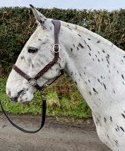 Load image into Gallery viewer, Comfort Leather Headcollar -Serenity Poll Relief- Plaited Nose -S/Pony/Cob/F