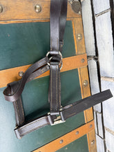 Load image into Gallery viewer, Full Size English Leather Headcollar - Brown - Heavy Duty - Adjustable