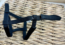 Load image into Gallery viewer, Foal Sized Fieldsafe Quick Release Headcollar/Slip