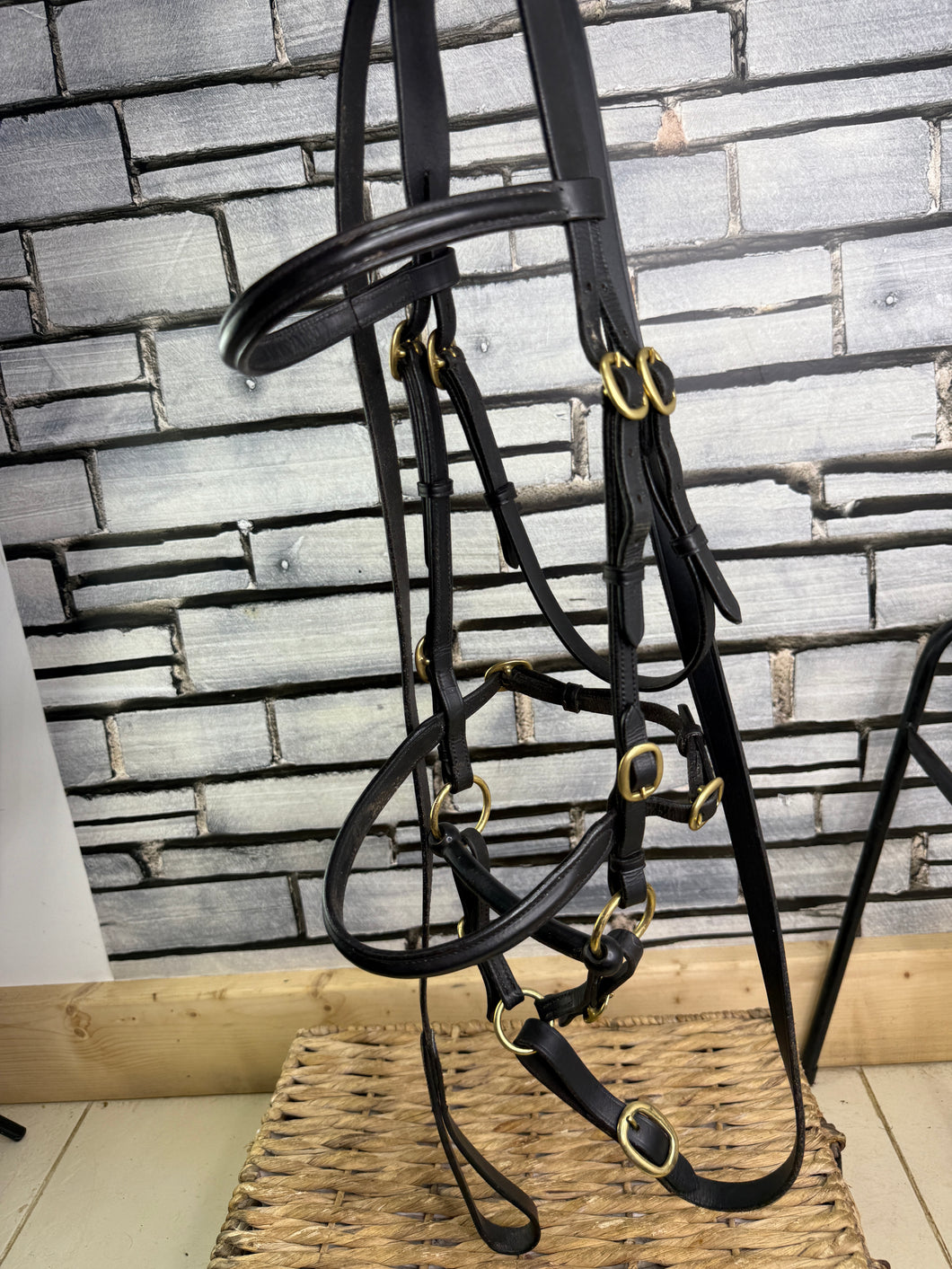 S/H In-hand Showing Bridle, Bit, Coupling & Lead - Cob