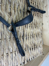 Load image into Gallery viewer, S/H Grackle Bridle, Reins &amp; Hunting Breastplate Set - Full