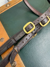 Load image into Gallery viewer, In-hand Show Bridle/Filly Slip/Halter  -Cob/Full Youngstock- Brown/Brass - English Leather