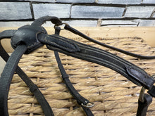 Load image into Gallery viewer, S/H Elasticated Mexican Grackle Noseband - Black - Cob