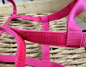 Easy Find Fieldsafe Quick Release Headcollar/Slip