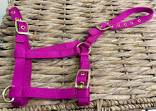 Load image into Gallery viewer, Soft Webbing Standard Foal Slip/Headcollar - Purple/Pink/Ocean