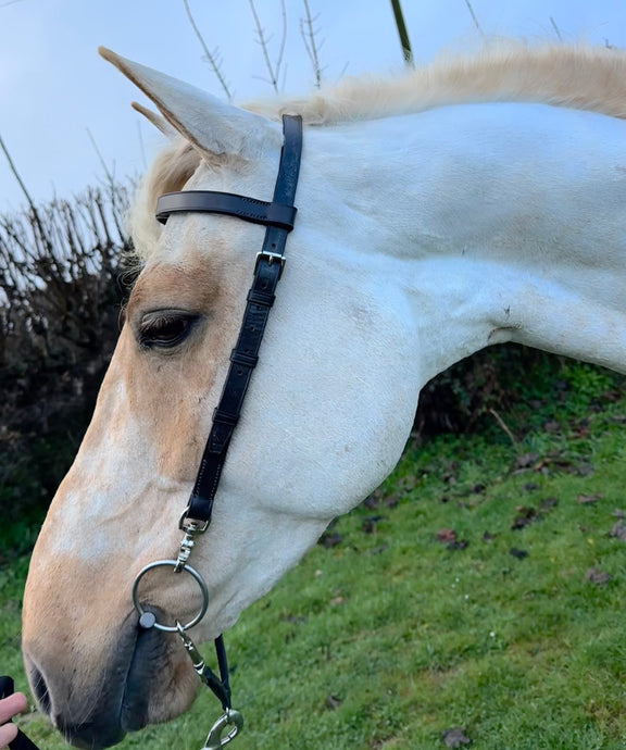 English Made Clip Work Bridle - Custom Made - All Sizes