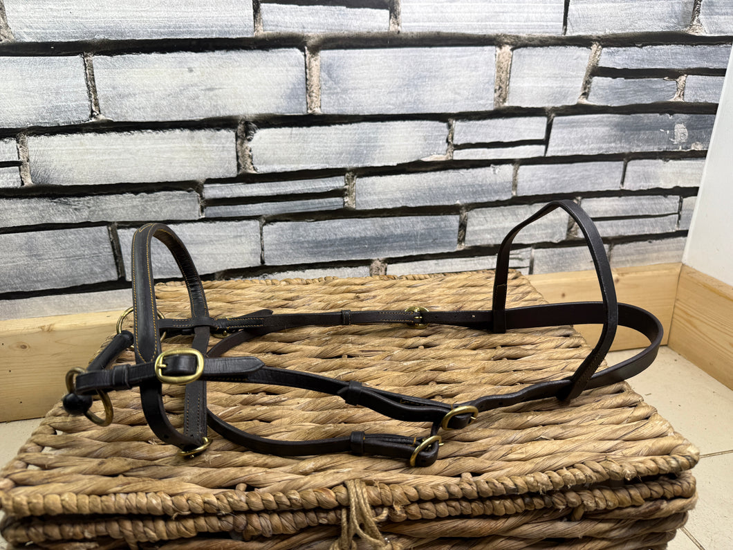 S/H In-hand Showing Bridle with Bit - Full