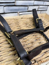 Load image into Gallery viewer, S/H English Brown &amp; Brass Leather Headcollar - Full