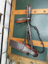 Load image into Gallery viewer, Stitched Padded Hunter Snaffle Bridle - Brown/Tan -Cob Size- Jerome - English Leather