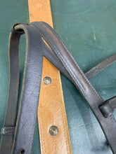 Load image into Gallery viewer, Jeffries Flash Noseband - Brown - Cob - Traditional English Leather