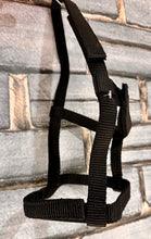 Load image into Gallery viewer, Foal Sized Fieldsafe Quick Release Headcollar/Slip
